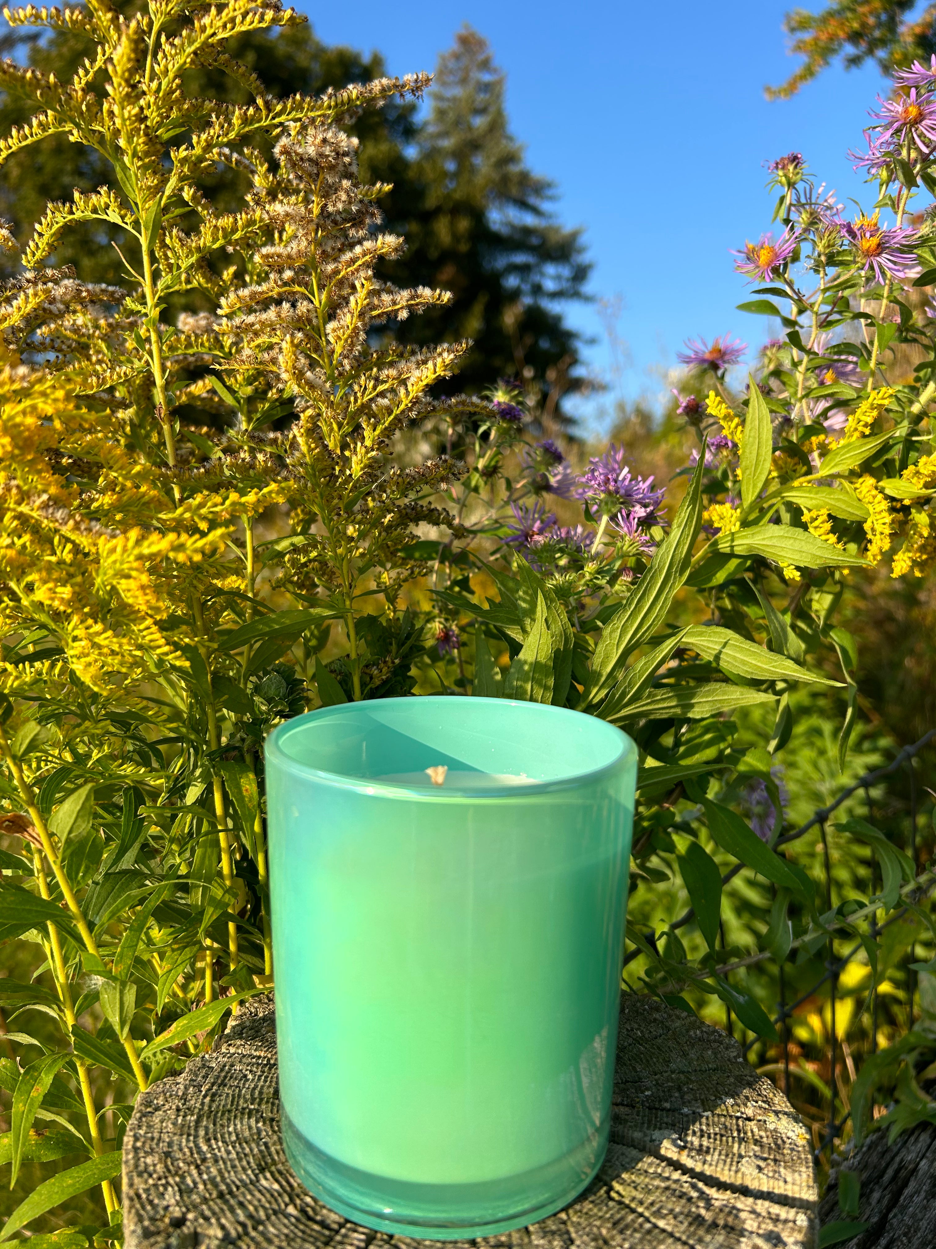All Our Relations Special Edition - 10oz Soy Candle - LODGE Soy Candles